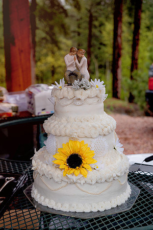 Gale Wedding 5-25-25-3188