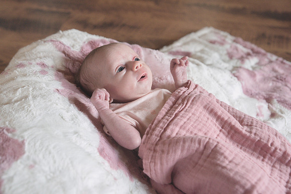 Newborn Session 2026-5125