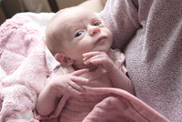 Newborn Session 2026-5133