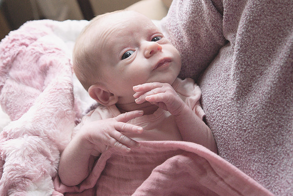 Newborn Session 2026-5133
