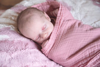 Newborn Session 2026-5135