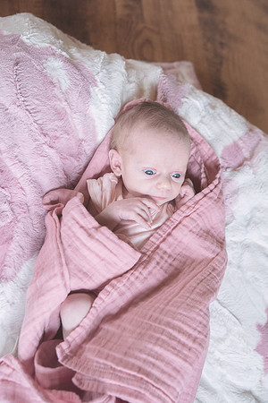 Newborn Session 2026-5141