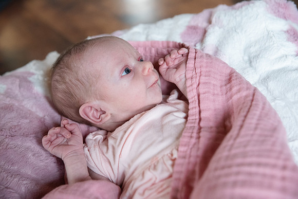 Newborn Session 2026-5149