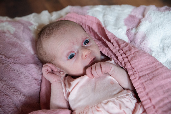 Newborn Session 2026-5150