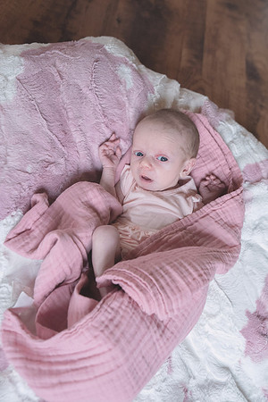 Newborn Session 2026-5146