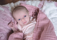 Newborn Session 2026-5148