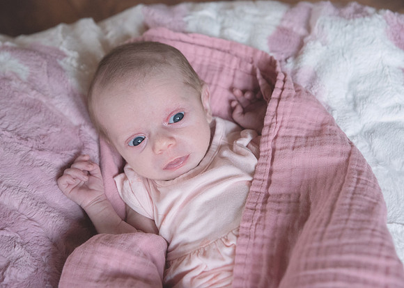 Newborn Session 2026-5148
