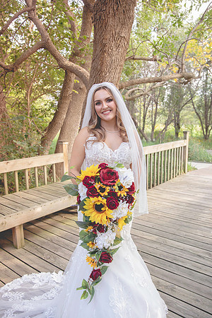 Schutte Wedding 9-14-24-2379