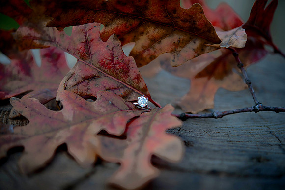 Jordyn and Austin Engagement Session 2017-6223