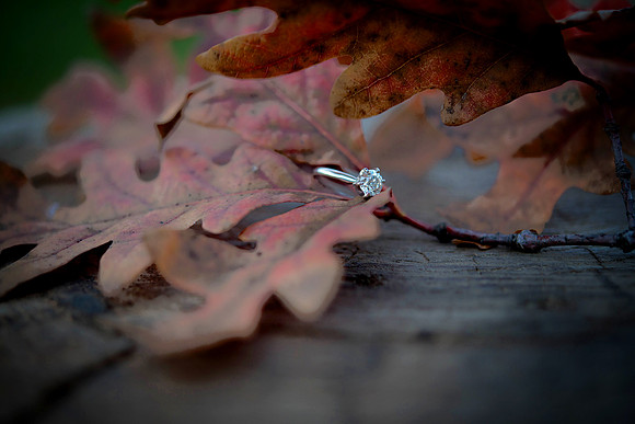 Jordyn and Austin Engagement Session 2017-6222