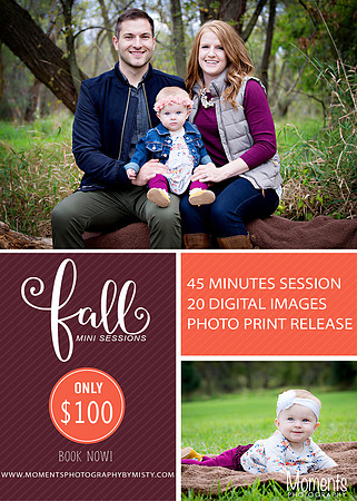 fall mini_2017