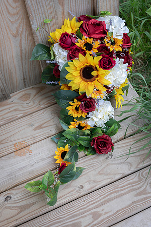 Schutte Wedding 9-14-24-1838