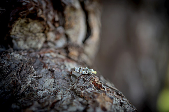 Engagement Gallery 2018-9978