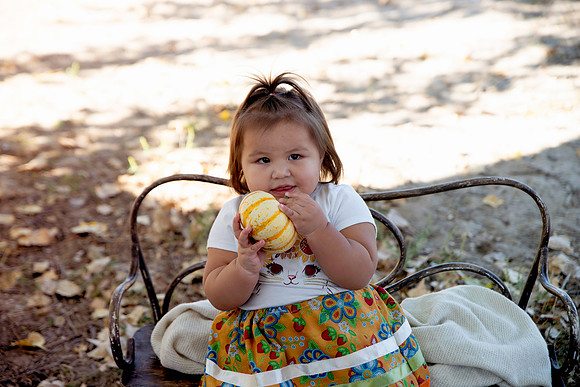 Summer Gallery 24-1796