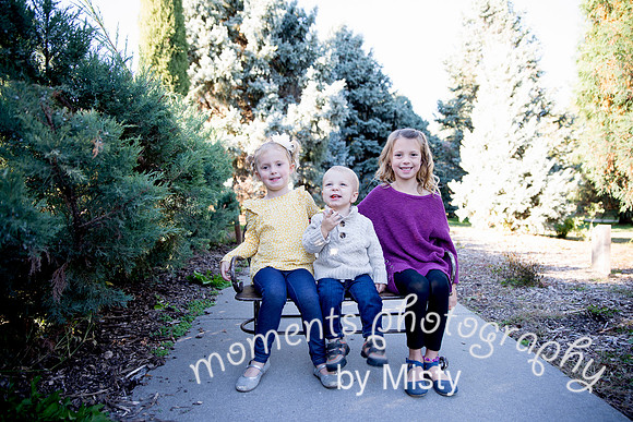 Paige Mini Family Session 2018-7887