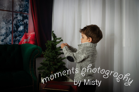 Hall Christmas Mini 2018-3938