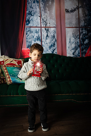 Hall Christmas Mini 2018-3924