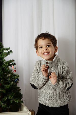 Hall Christmas Mini 2018-3954