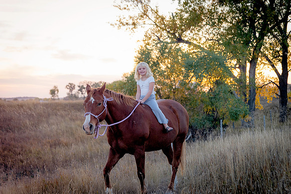 Mindy Family Gallery 24-2174