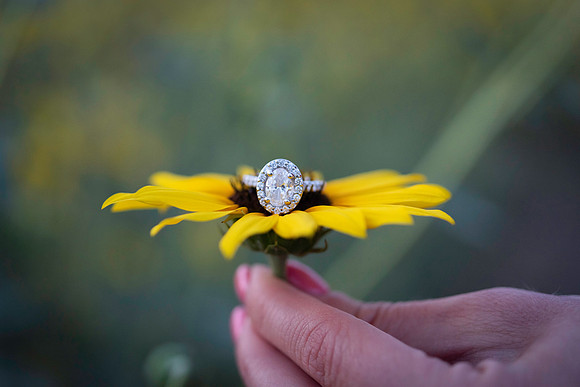 M + V Engagements-1356