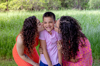 Hall Family Gallery-0085