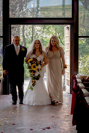 Schutte Wedding 9-14-24--52