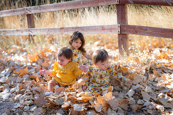 Laura Family Gallery 24-2412