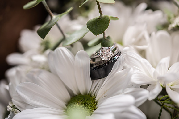 J + N Wedding-8135