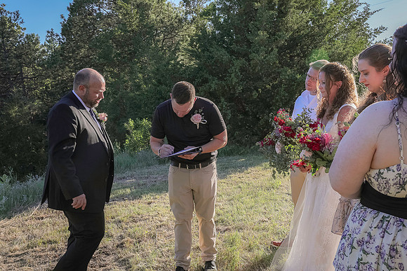 Dendinger Wedding Gallery-0471