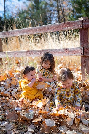 Laura Family Gallery 24-2408